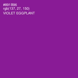 #891B96 - Violet Eggplant Color Image